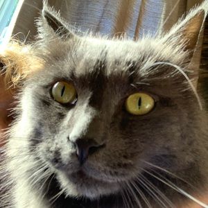 Meet your Posher, Susan